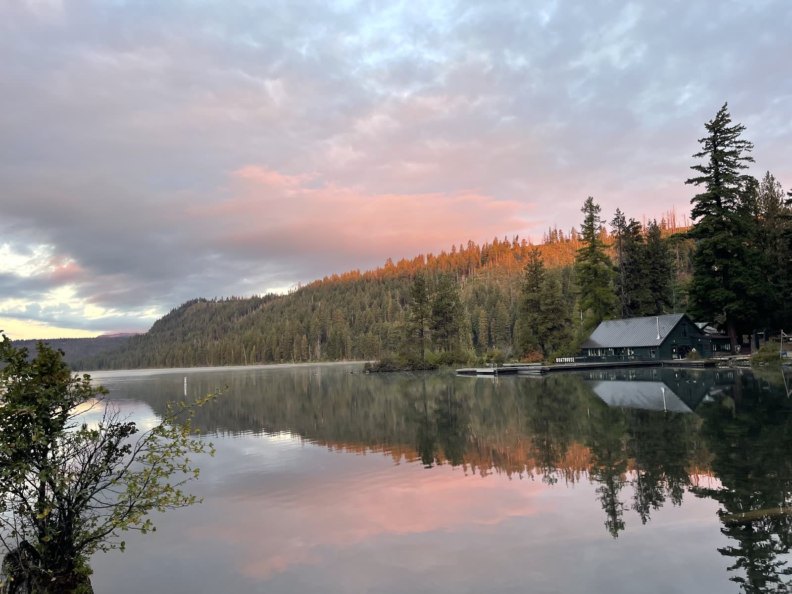 Sunset over Suttle Lake, pines reflected in still water